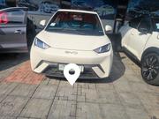 BYD Seagull 2024 White for sale