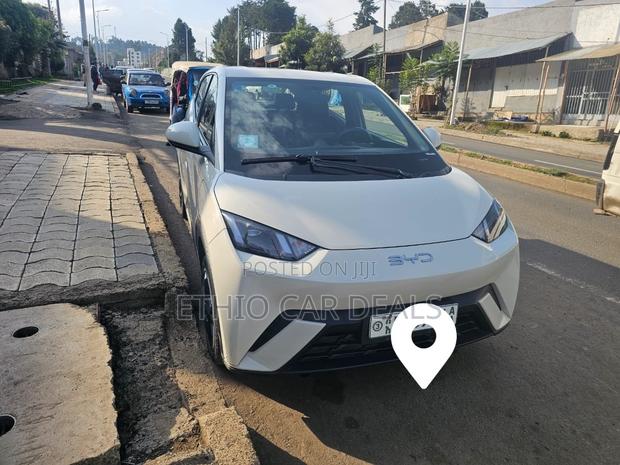 BYD Seagull 2024 White