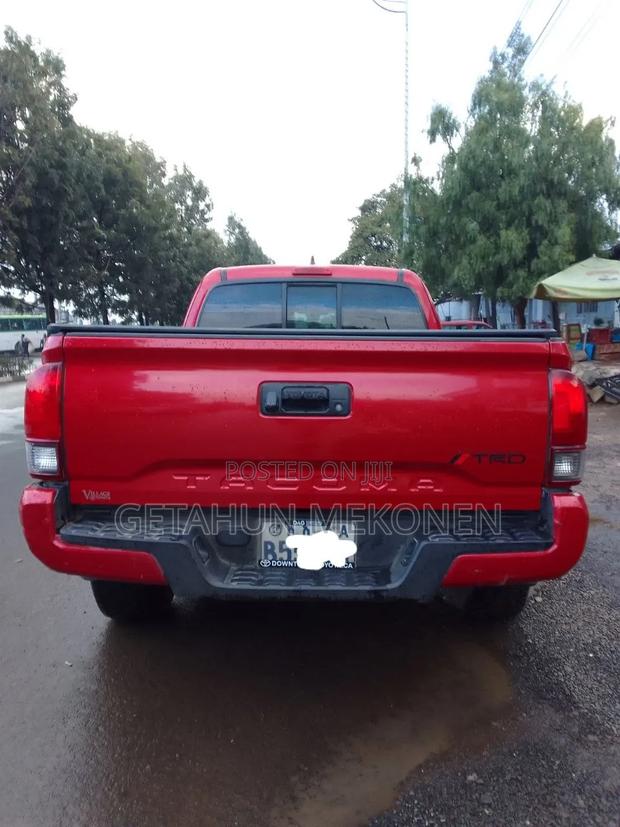 Toyota Tacoma 2019 Burgundy