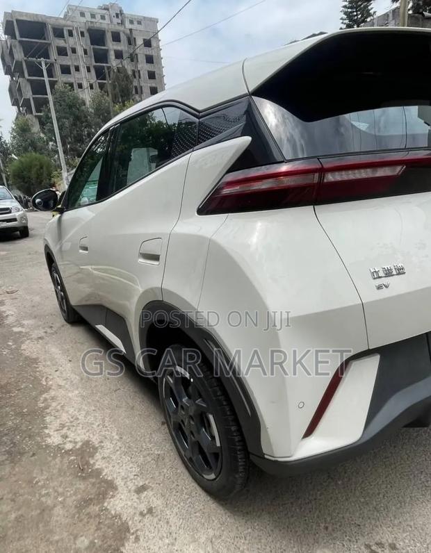 BYD Seagull 38 kWh FWD 2024 Ivory