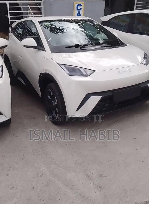 New BYD Seagull 2025 White