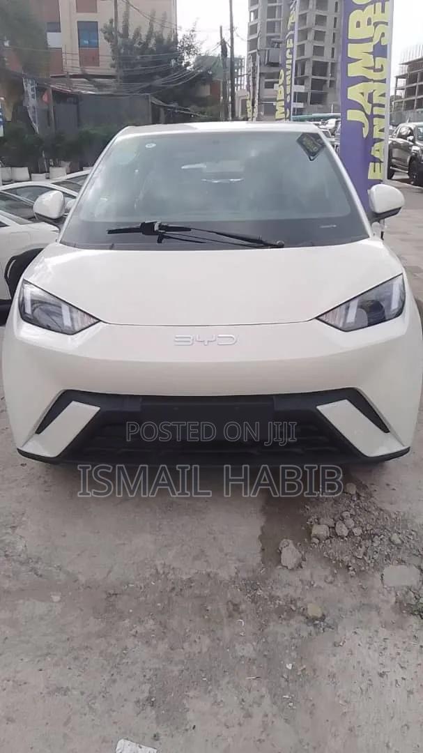 New BYD Seagull 2025 White