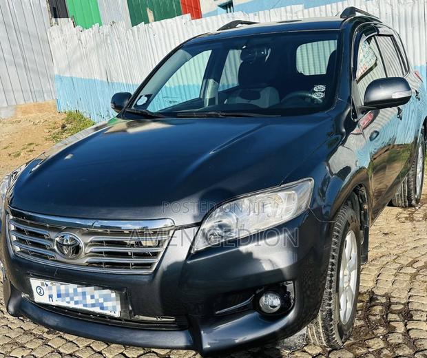 Toyota RAV4 2010 Gray