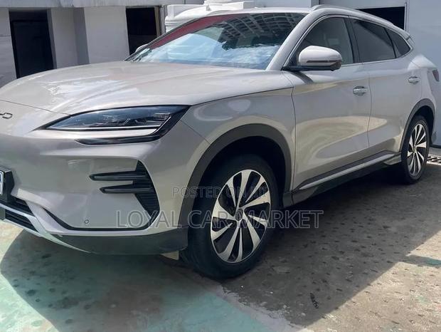 BYD Song Plus 2024 Gray