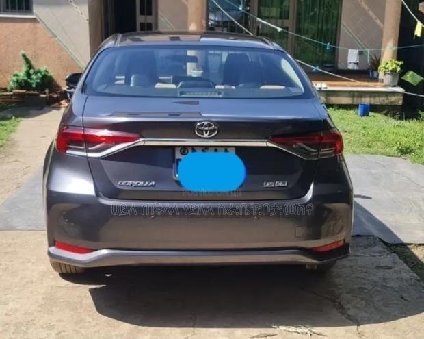 Toyota Corolla 2020 Gray