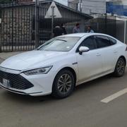 BYD Qin Plus DM-i 2024 White for sale