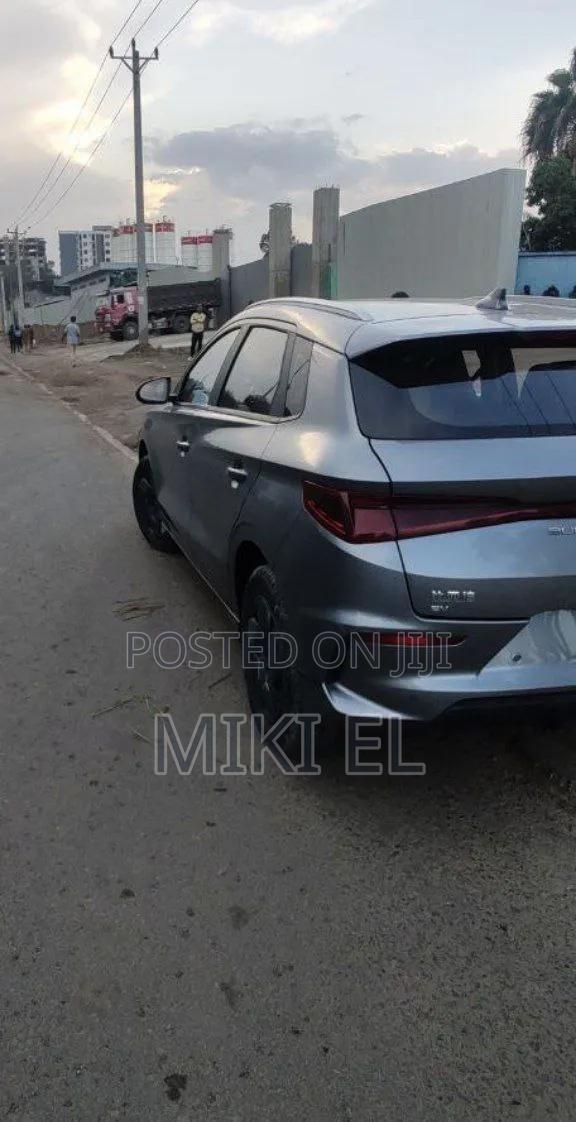 BYD E2 43 kWh 94 hp FWD 2024 Gray