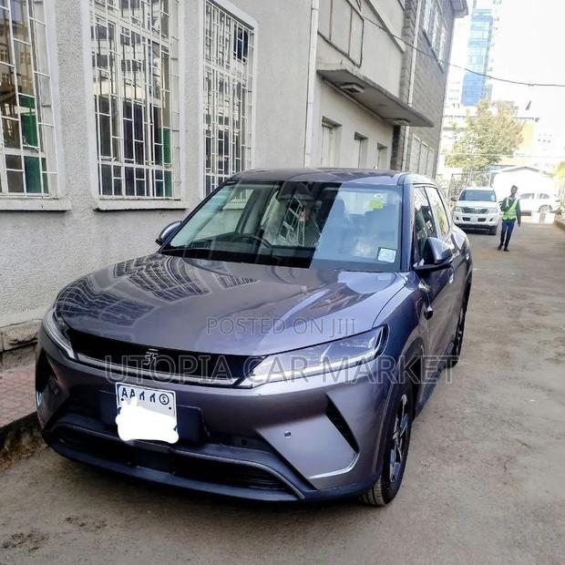 BYD Yuan Up 2025