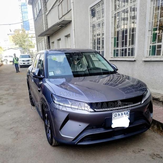 BYD Yuan Up 2025