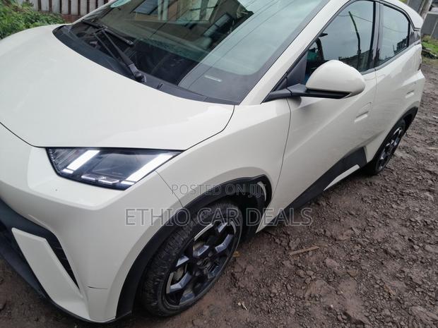 BYD Seagull 2025 White