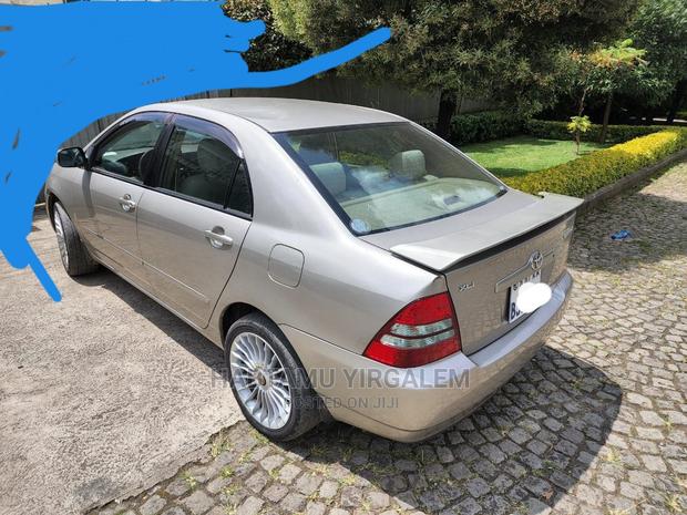 Toyota Corolla 2003 Gold