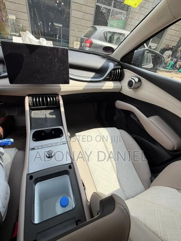 BYD Yuan Plus 2025 Gray