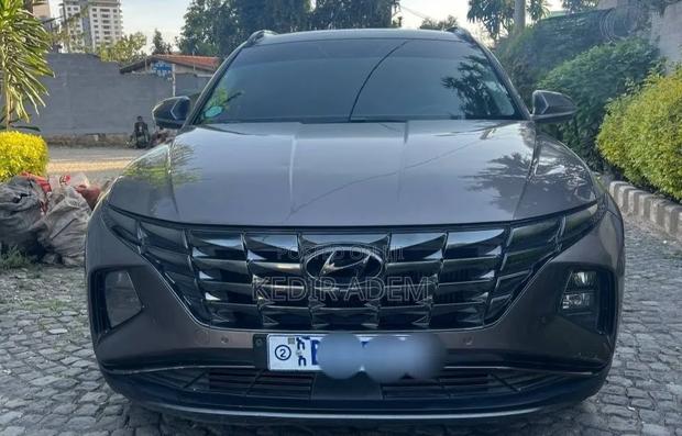 Hyundai Tucson 2021 Blue