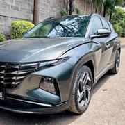 Hyundai Tucson 2023 Green for sale