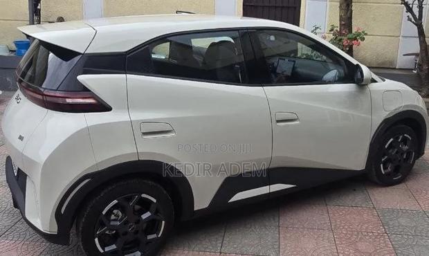 BYD Seagull 2025 Ivory