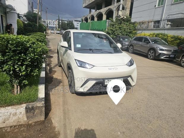 BYD Seagull 2025