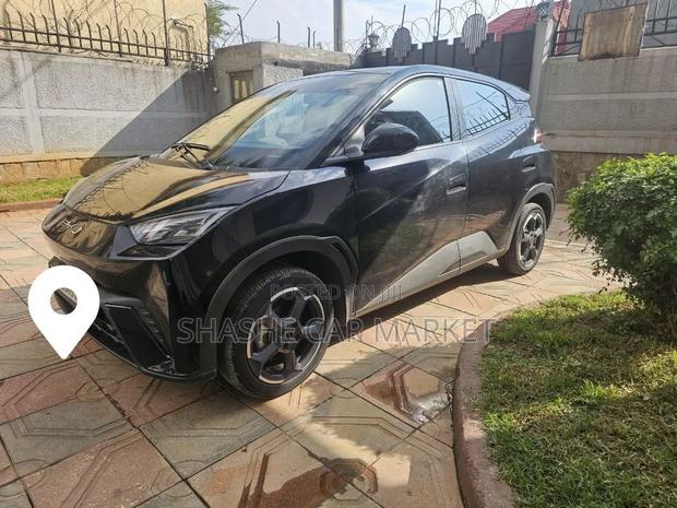 BYD Seagull 2024
