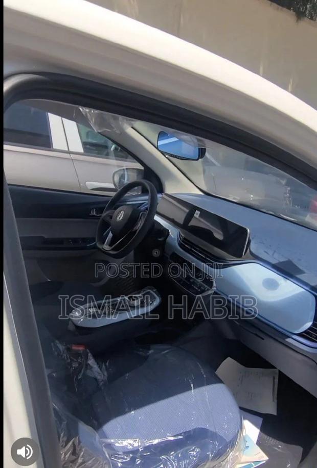 New Changan BenBen 2024 Off white