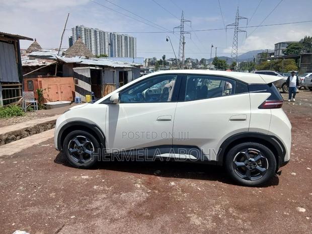 BYD Seagull 2024 White