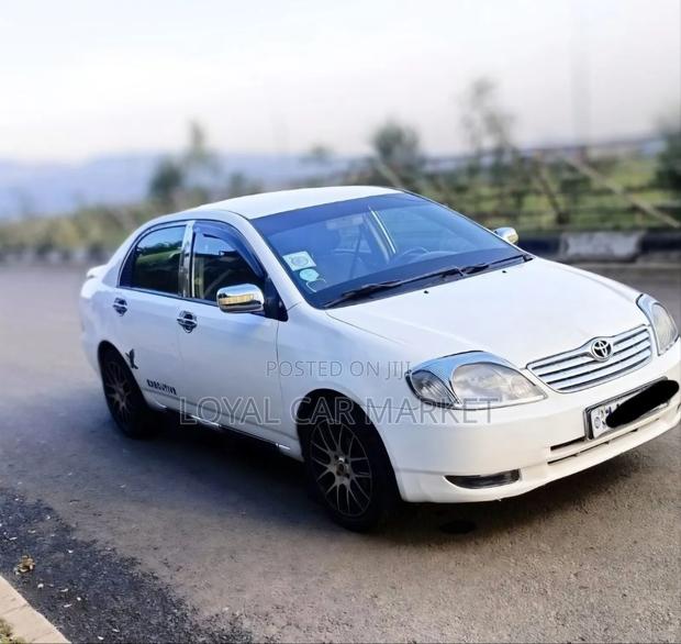 Toyota Corolla 2002 White