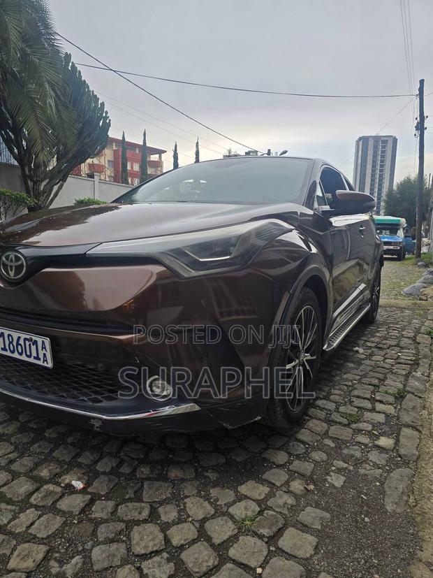 Toyota C-HR XLE FWD Sport Utility (2.0L 4cyl 2AM) 2018 Gray