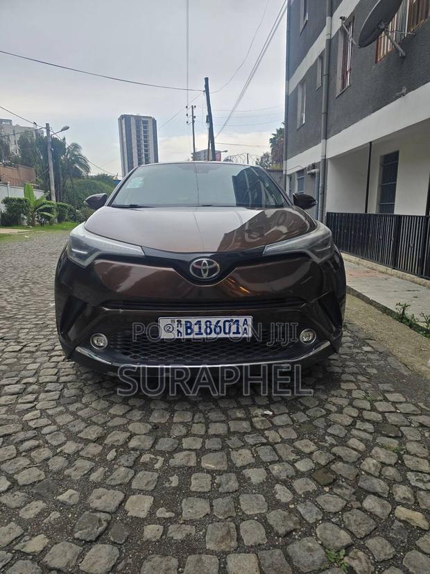 Toyota C-HR XLE FWD Sport Utility (2.0L 4cyl 2AM) 2018 Gray