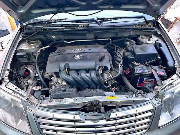Toyota Corolla 2007 Gray