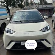 BYD Seagull 2023 White for sale