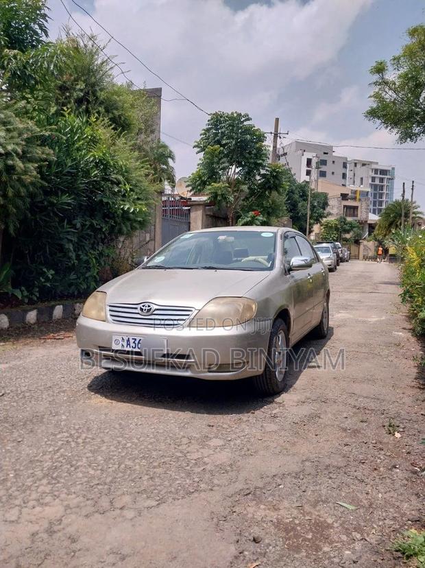 Toyota Corolla 2003 Pearl