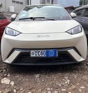 BYD Seagull 2024 White for sale