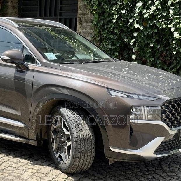 Hyundai Santa Fe 2023 Brown