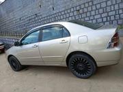 Toyota Corolla 2003 Gold for sale