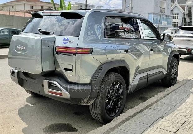 New BYD Leopard 3 2025 Gray