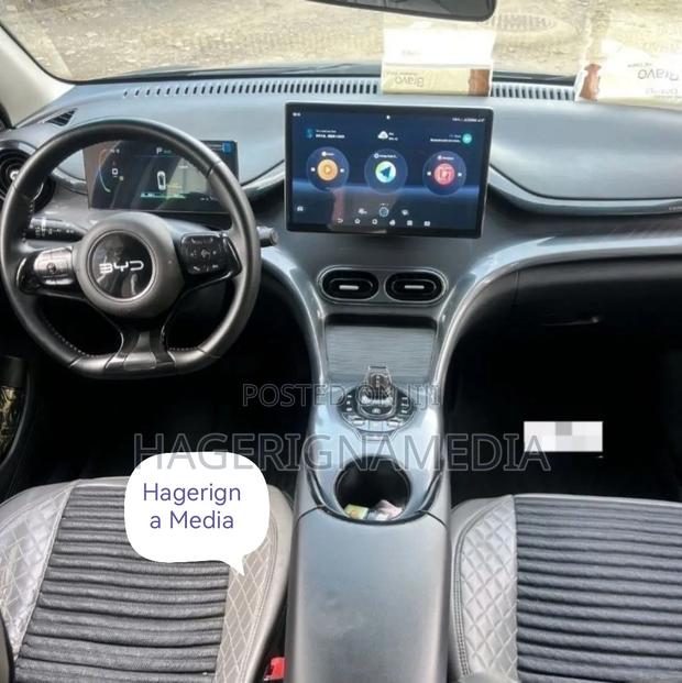 BYD E2 43 kWh 94 hp FWD 2024 Gray