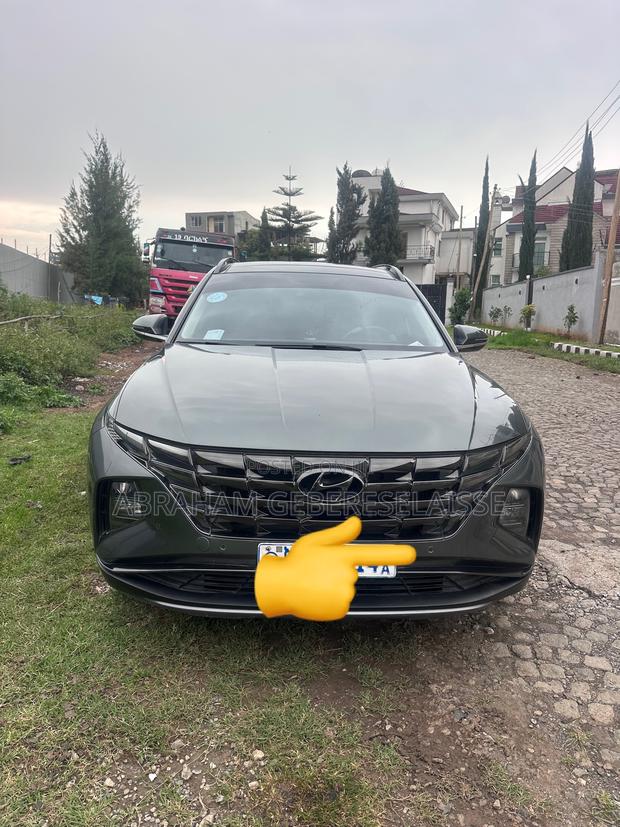 Hyundai Tucson Limited 2021 Gray