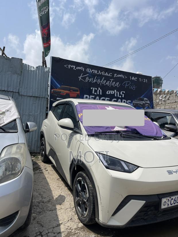 BYD Seagull 2024