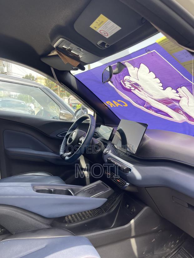 BYD Seagull 2024