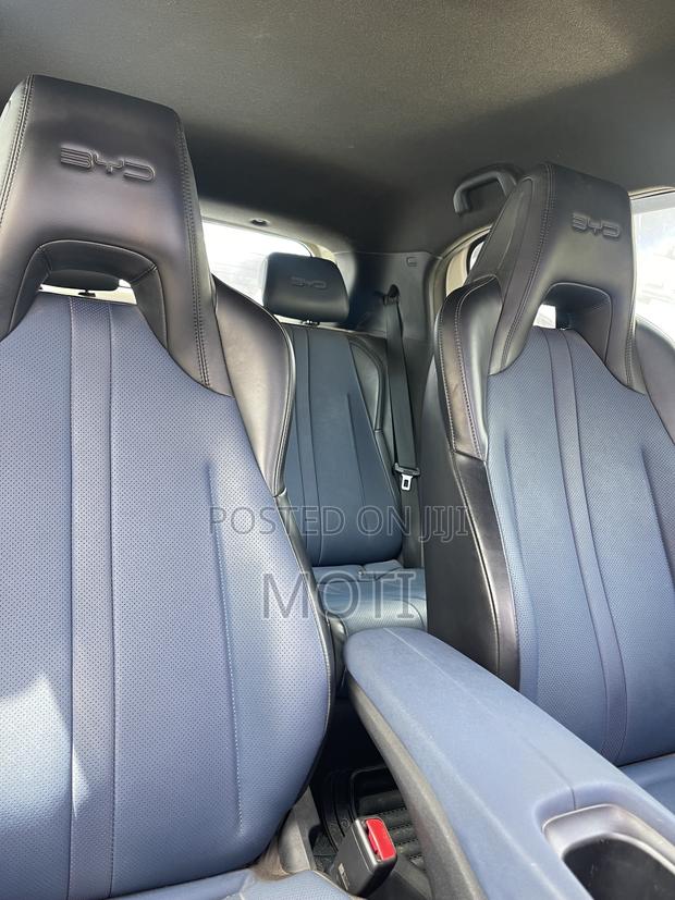 BYD Seagull 2024