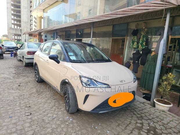 Hozon Neta Aya 2024