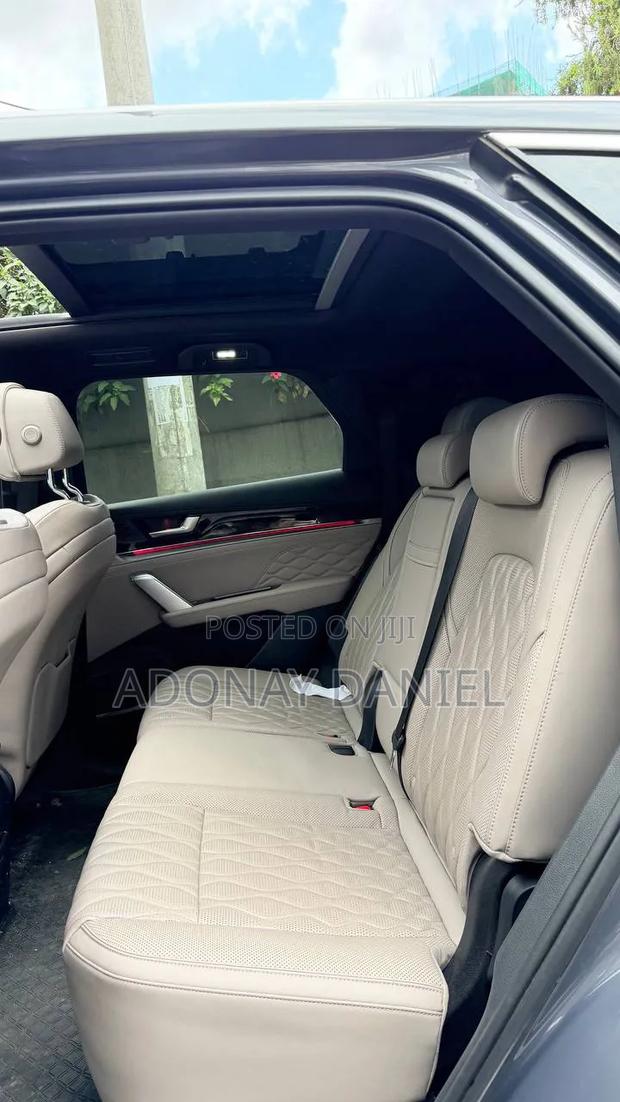 BYD Tang EV 2024 Gray