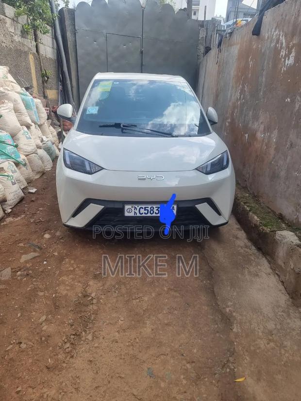 BYD Seagull 30 kWh FWD 2024 White