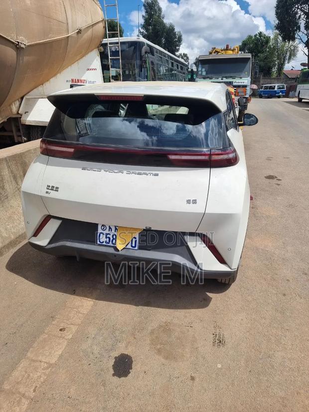 BYD Seagull 30 kWh FWD 2024 White