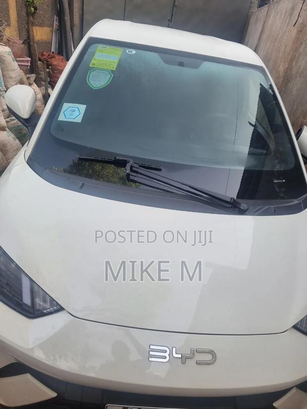 BYD Seagull 30 kWh FWD 2024 White
