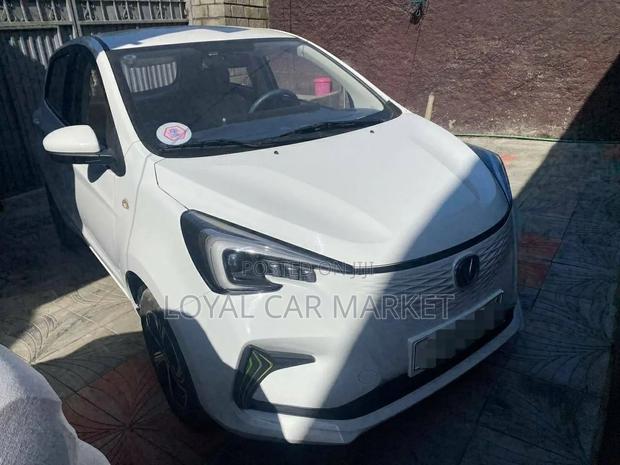 Changan BenBen E-Star 2024 White