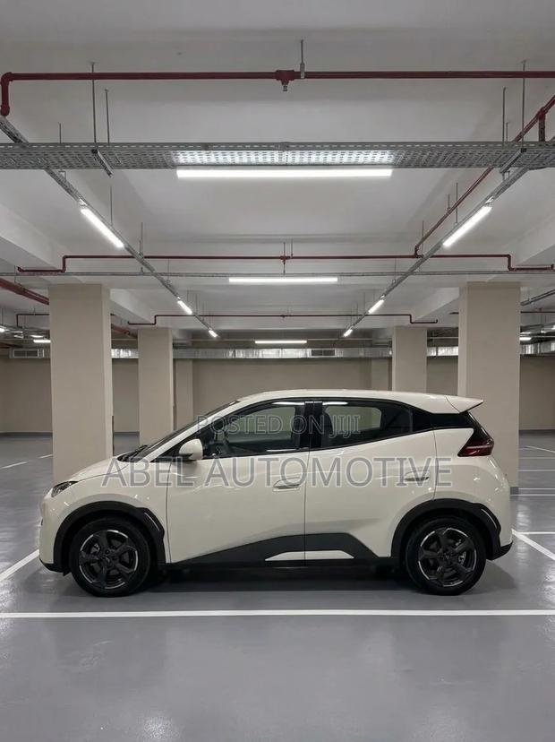 BYD Seagull 2024 White