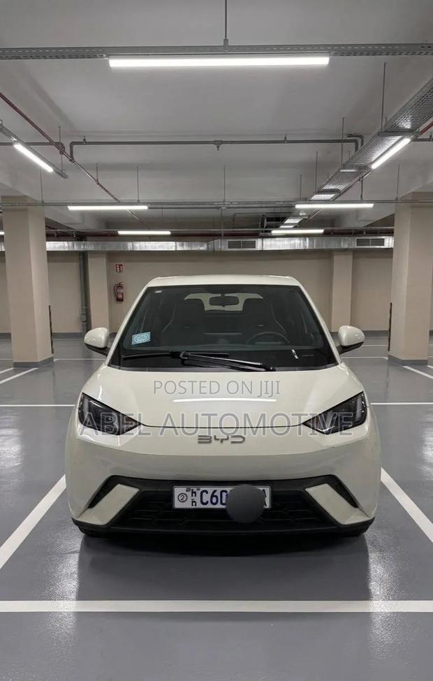 BYD Seagull 2024 White