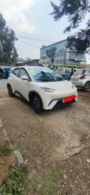 BYD Seagull 2025 White for sale