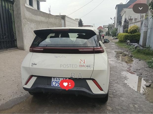 BYD Seagull 2025 White