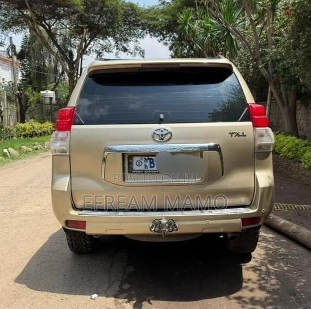 Toyota Land Cruiser 2010