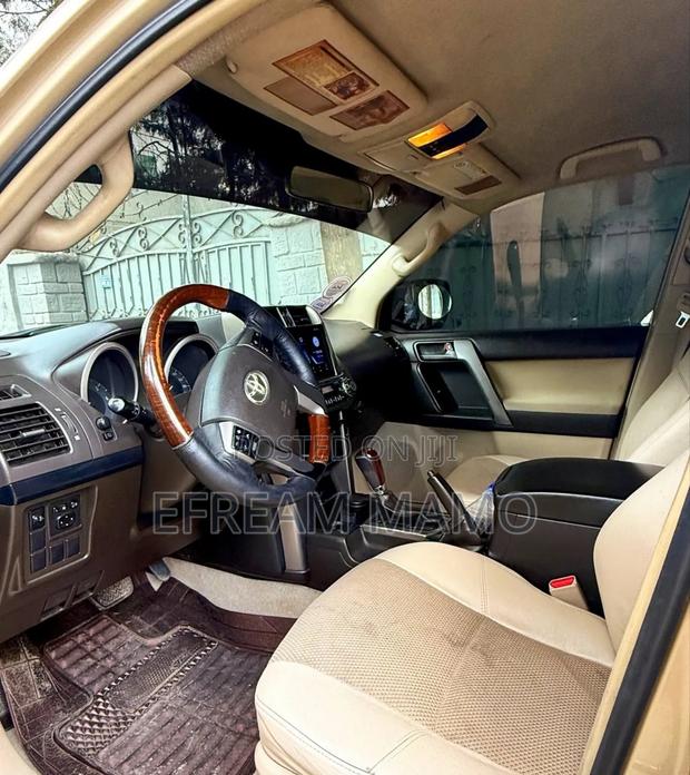 Toyota Land Cruiser 2010